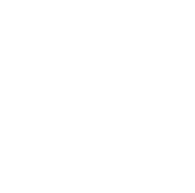 100% Vegan